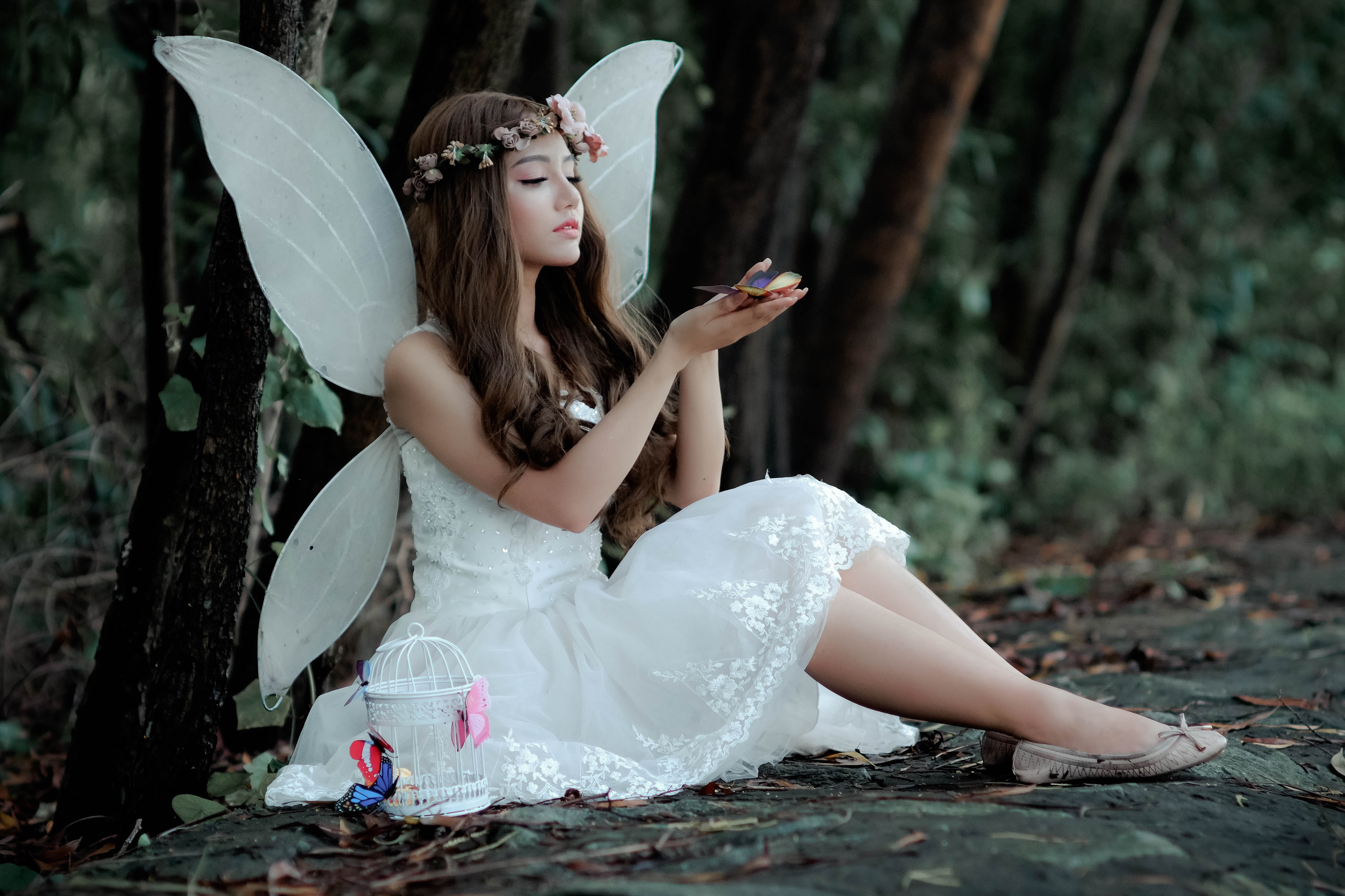 beautiful-butterfly-costume-1545590