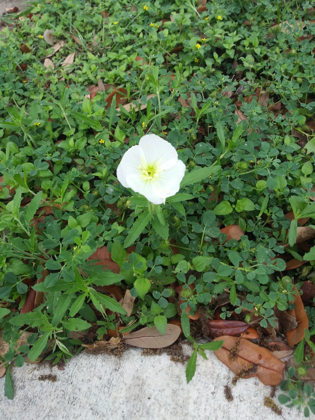 Finding Hope in God’s&nbsp;Sovereignty